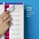 Avery Matte Clear Printable Address Labels, 200 Pack