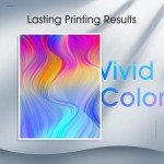 Black PG-243 XL Ink Cartridge Combo Pack for Canon