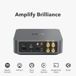 WiiM Amp: Multiroom Streaming Amplifier with Voice Control