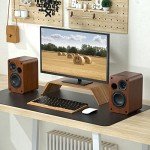 Saiyin 30W Bluetooth Bookshelf Speakers with Woofer