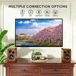 Saiyin 30W Bluetooth Bookshelf Speakers with Woofer