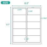 MFLABEL 2x4 Shipping Address Labels - 500 Pack