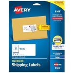 Avery 2" x 4" Printable Shipping Labels, 250 Pack