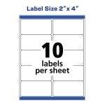 Avery 2" x 4" Printable Shipping Labels, 250 Pack