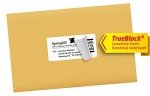 Avery 2" x 4" Printable Shipping Labels, 250 Pack