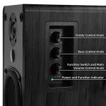 SINGING WOOD BT25 Bluetooth Bookshelf Speakers - Black