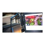 Blue Spark SL XLR Condenser Microphone - Black
