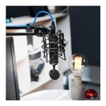 Blue Spark SL XLR Condenser Microphone - Black