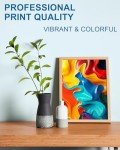 LEMERO 245XL Ink Cartridge Combo for Canon Printers
