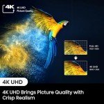 Hisense PL1 4K Ultra Short Throw Projector