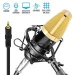Pyle Cardioid Studio Microphone with Shock Mount