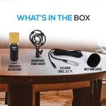 Pyle Cardioid Studio Microphone with Shock Mount