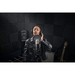RØDE NT1 Condenser Microphone with Shockmount & Filter