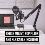 RØDE NT1 Condenser Microphone with Shockmount & Filter