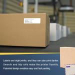 BETCKEY Compatible Address Labels for Brother Printers