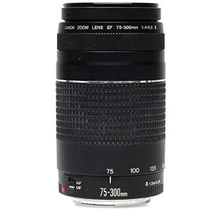 Canon EF 75-300mm Telephoto Zoom Lens