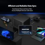 Gigastone 1TB NAS SSD Drives 2-Pack for RAID