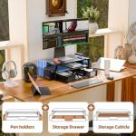 Stylish 2-Tier Metal Desk Monitor Stand - Black