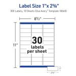 Transparent Address Labels, 2.5 x 7.1 cm, 300 Count
