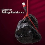 10ft MFi Certified iPhone Charger - 2 Pack