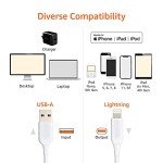 Amazon Basics 6ft USB-A to Lightning Cable