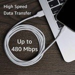 Amazon Basics 6ft USB-A to Lightning Cable