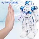 Blue Remote Control Gesture Sensing Robot Toy