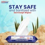 Germisept Bulk Antibacterial Hand Sanitizing Wipes