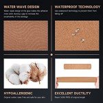 CKeep Kinesiology Tape - 2 Rolls, 2"x16