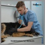 Large Latex-Free Nitrile Gloves - Case of 1000