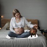 AbsorbEase® Heavy Absorbency Washable Underpads, 34" x 36