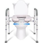 Adjustable Raised Toilet Seat with Handles for Seniors