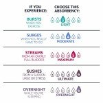 Amazon Basics Women's Incontinence Pads, 30 Count