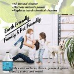 Food-Grade 12% Hydrogen Peroxide Solution - 2 Gallons