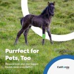 Self-Adhesive Medical Tape - 2 Inch Cohesive Rolls