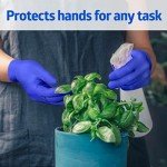 Blue Nitrile Exam Gloves, X-Large, 250 Count