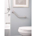 Moen Angled 16-Inch Stainless Steel Shower Grab Bar