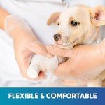 Medium Clear Disposable Vinyl Gloves, 100 Count