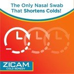 Zicam Cold Remedy Nasal Swabs - Zinc-Free 20ct
