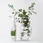 Eucalyptus Mint Body & Room Spray - 4 oz