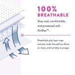 Prevail Proven | Large Pull-Up | Women's Incontinence Protective Underwear | Maximum Absorbency | 72 Count