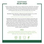 Desert Essence Antiseptic Relief Spray - 4 Fl Oz