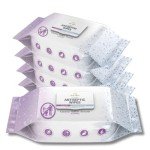 Nurture XL Alcohol-Free Antibacterial Wipes - 100 Count