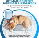 Absorbent Disposable Underpads for Incontinence Care