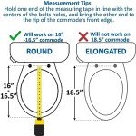 Vaunn Elevated Toilet Seat with Padded Grab Bars