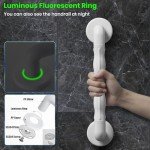 Wall Mounted Folding Shower Seat with Grab Bar