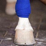 Colorful Self-Adhesive Bandage Wrap - 12 Rolls