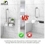 Brushed Nickel Toilet Paper Holder with Grab Bar