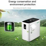 Portable Household Oxygen Generator with High Output
