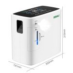 Portable Household Oxygen Generator with High Output